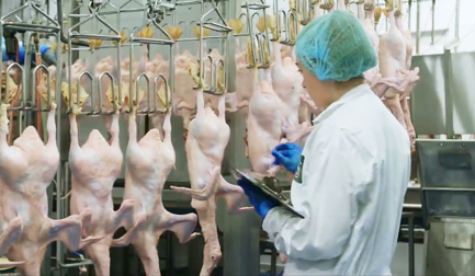 La gamme haut de gamme de canards est le moteur du succès de Silver Hill Duck