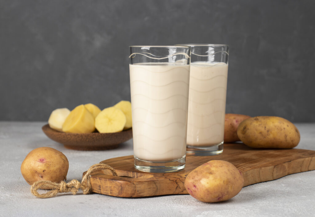 Vegan potato milk in two glass and potato in plate on gray background. Plant based milk replacer and lactose free