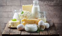 Laticínios e queijos