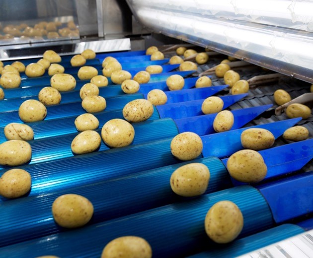 Potatoes on JBT conveyors