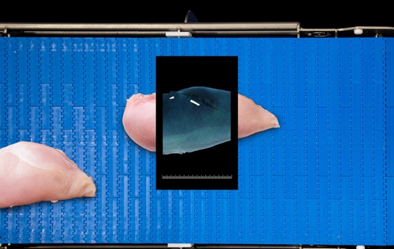 Sensorx X Ray Inspection For Food Processors