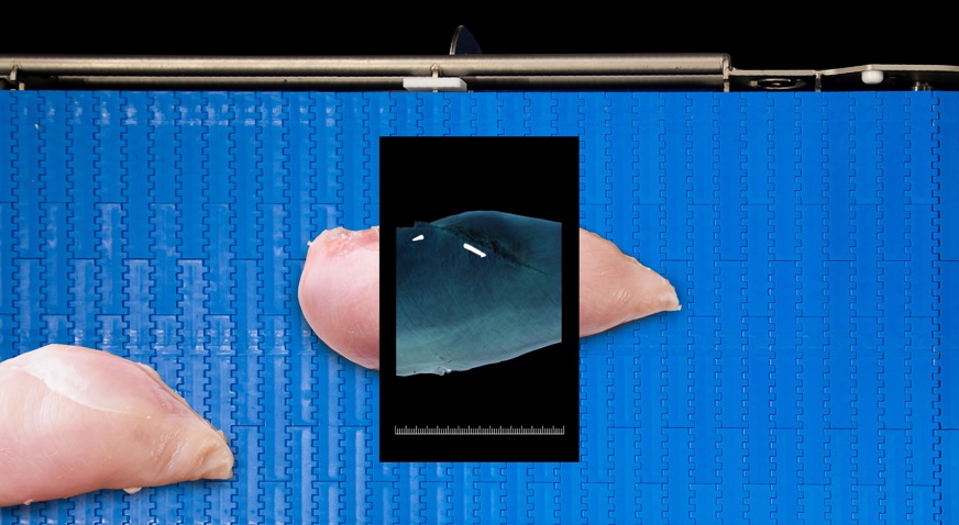 SensorX, a revolutionary X-ray inspection technology sets the standard in bone detection