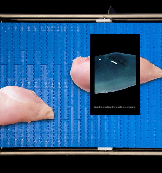 Sensorx X Ray Inspection For Food Processors