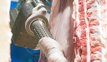 Dressing & Evisceration Equipment for Pigs | JBT Marel Dressing & Evisceration Equipment for Pigs | JBT Marel