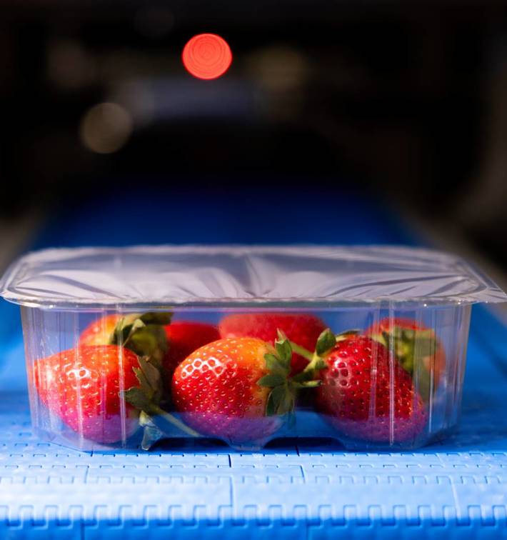 Strawberry Prepared Foods Fruits