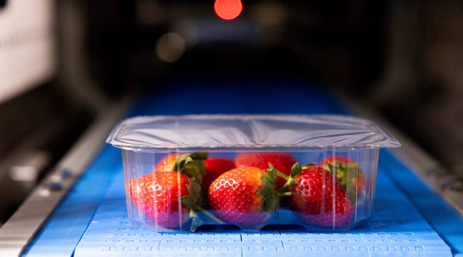 Strawberry Prepared Foods Fruits