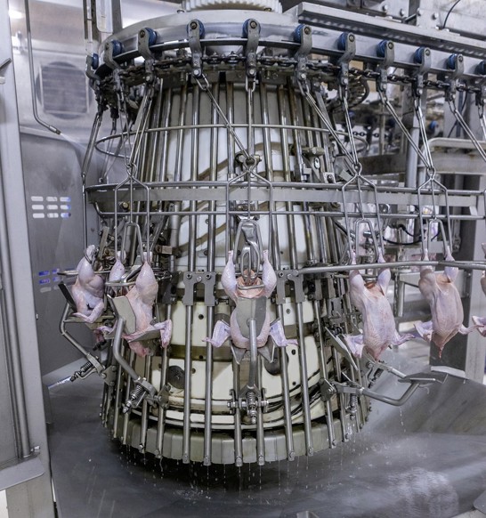 Moving from manual to automated processing | JBT Marel