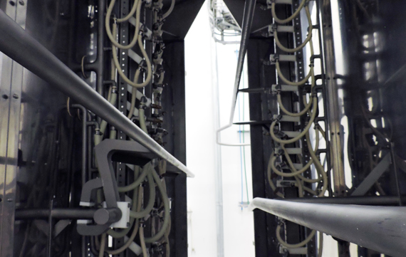 Carcass Wash Beef Processing