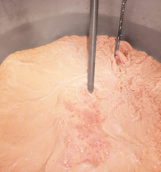 Brine Preparation Salmon Processing