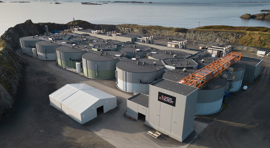 Indre Haroy November 2024