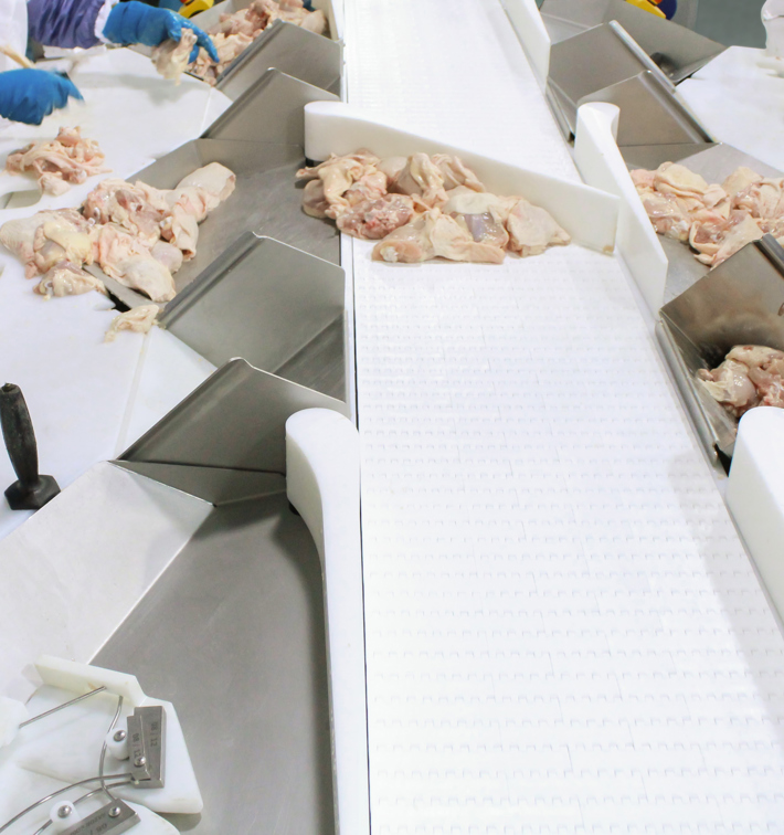 Marel Streamline Technology For Processing