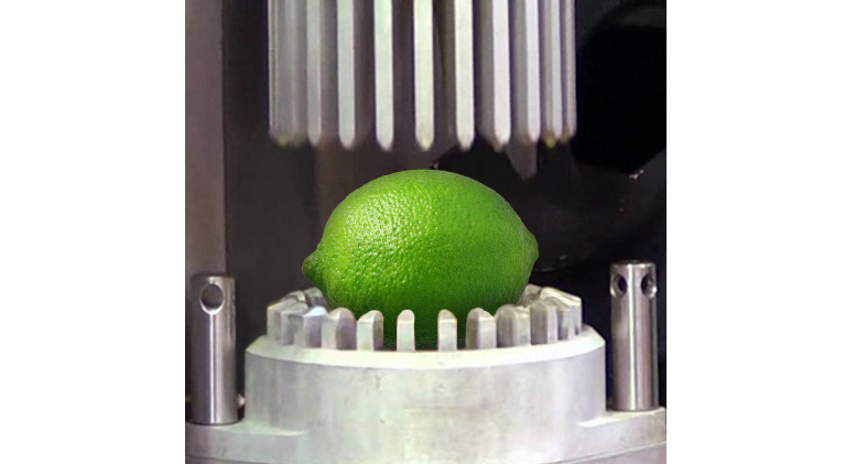 Multi-Fruit Juicer (MFJ) - Fresh'n Squeeze | JBT Marel