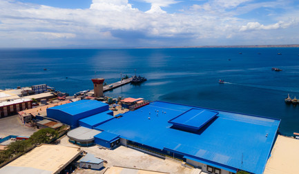 Da classificação manual à automatizada: resultados revolucionários