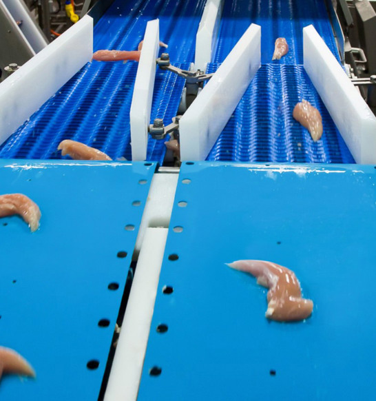 Singlefeed 2 Singulator Poultry