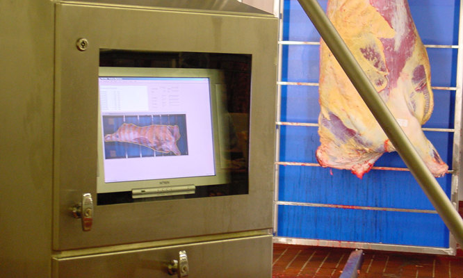 AuraVision grading system