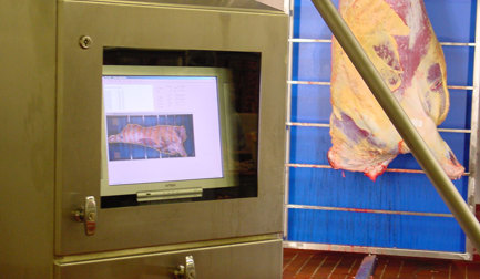 Beef Grading Machine Beef carcass grading | JBT Marel
