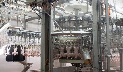 Verarbeitung mit 15.000 bph