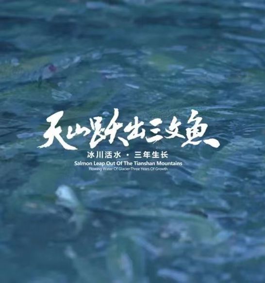 Tianyun Fish Processing