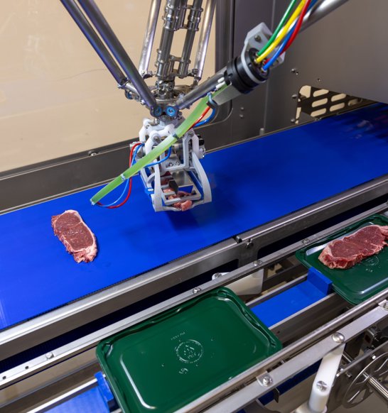 Robopacker Meatproducts1