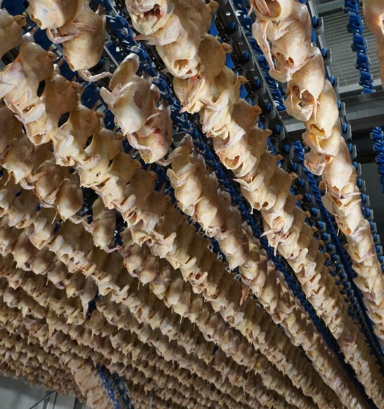 Costco Lpp Air Chilling