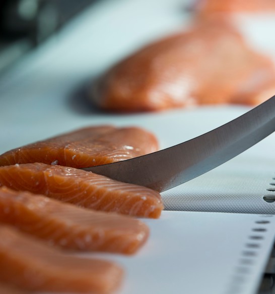 Portioning Fish Portion Cutting Systems for Salmon Processing | JBT Marel