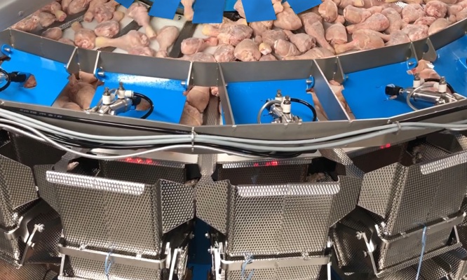 Multihead Weigher for IQF