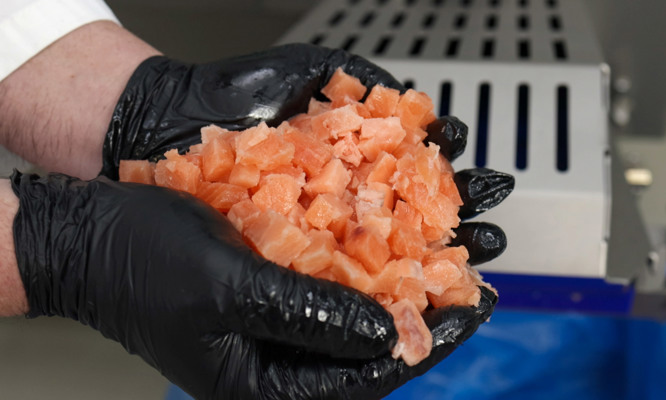 Argon/Flexon Dicing machine