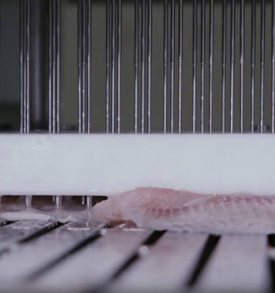 Fish Inject Injection and marination | JBT Marel