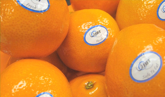 Fresh Oranges with JBT Lables