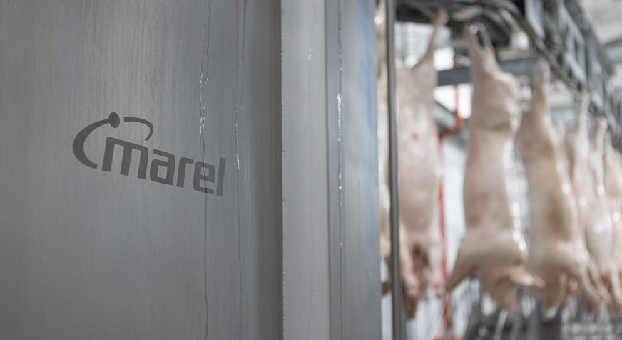 Frimesa Primary Processing