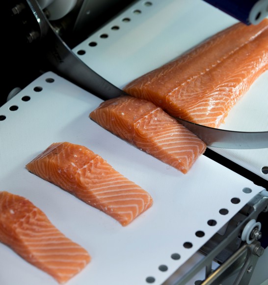 I Cut-130 Portion cutter for salmon