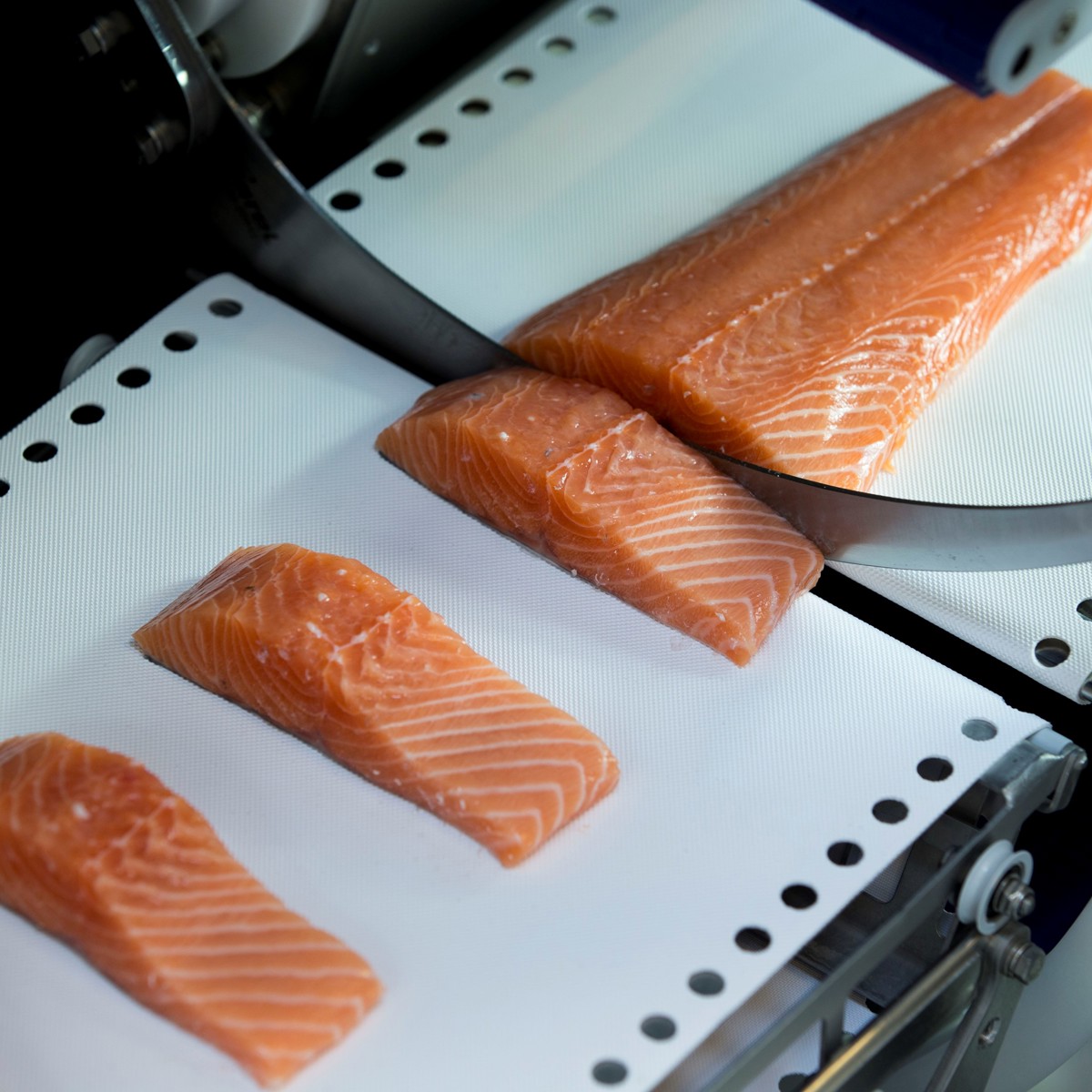 Portioning Fish Portioning Solution for Salmon Processing | JBT Marel