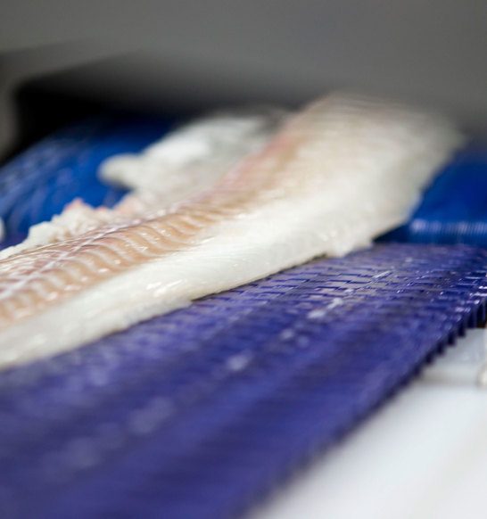 Onboard fillet processing | JBT Marel