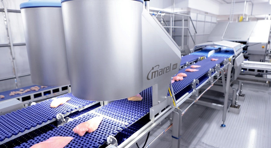 Quality-driven in-line distribution of fillets on a belt | JBT Marel
