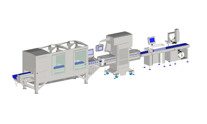 Tray packing and sealing line