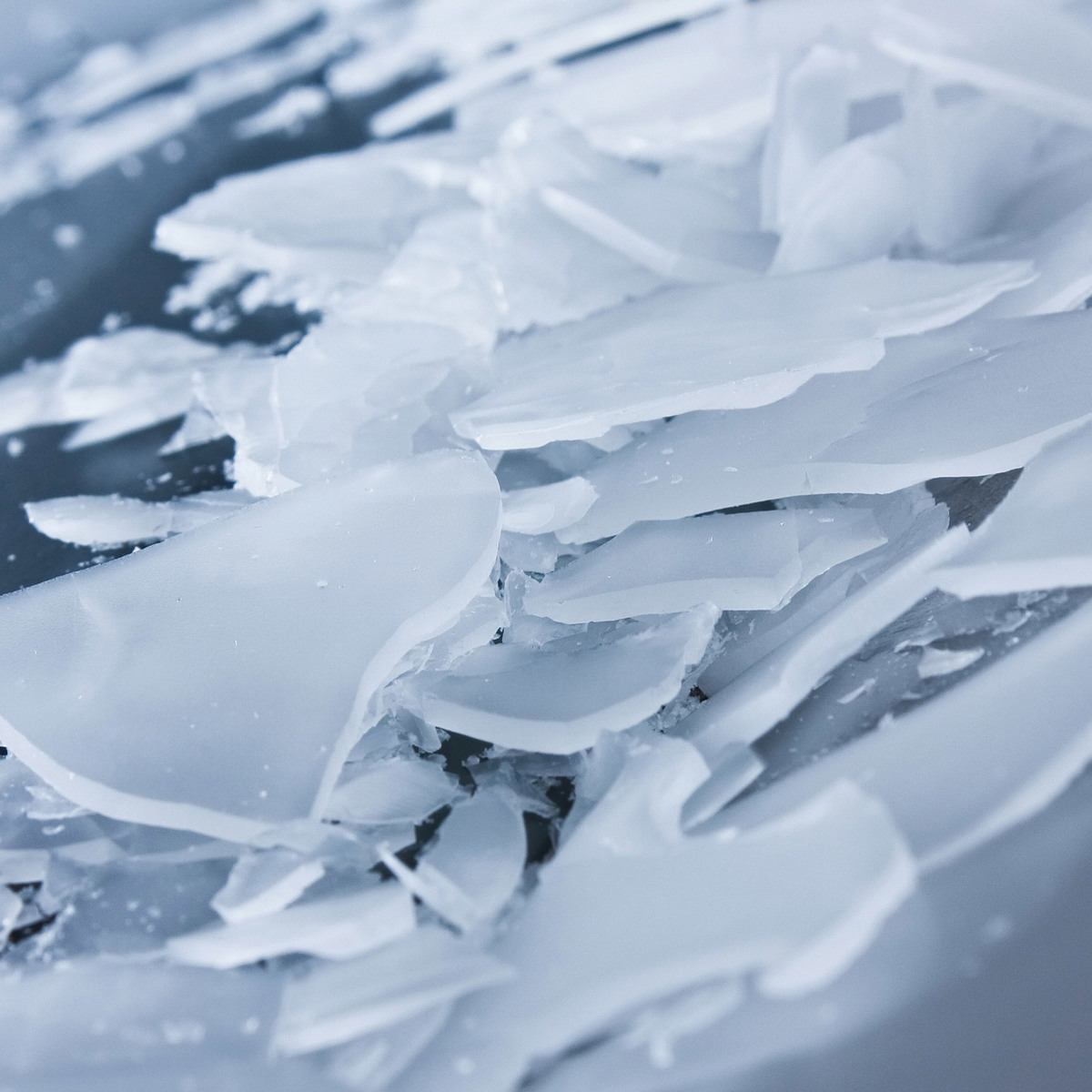 Flake ice is indispensable | JBT Marel