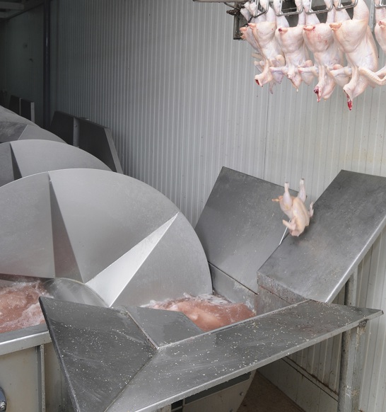 How to process poultry with limited water and energy availability | JBT ...