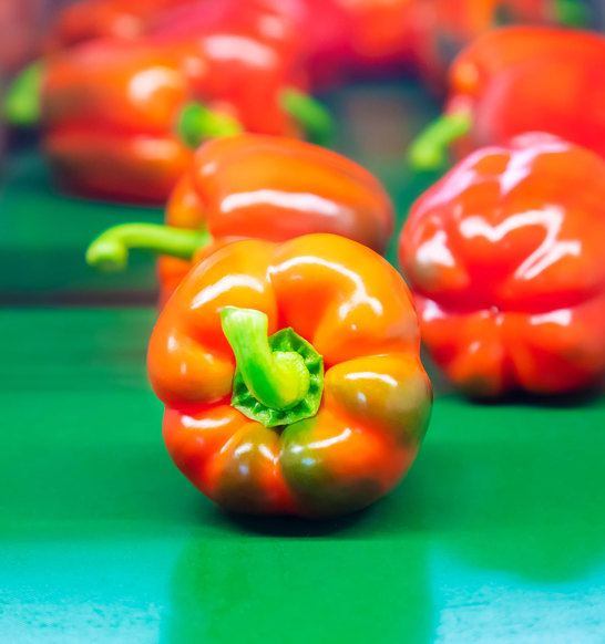 Canned Vegetables Preparation