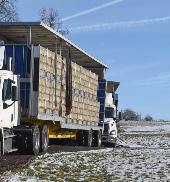 smartstack-loading-truck-poultry.jpg