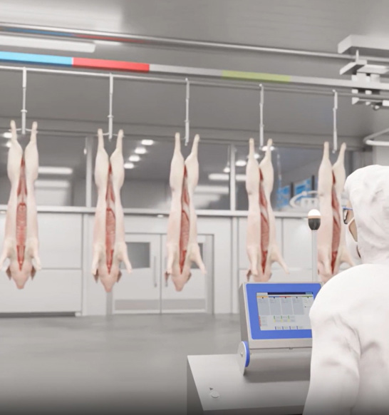 Stay ahead: Take your pork primary processing to the next level | JBT Marel
