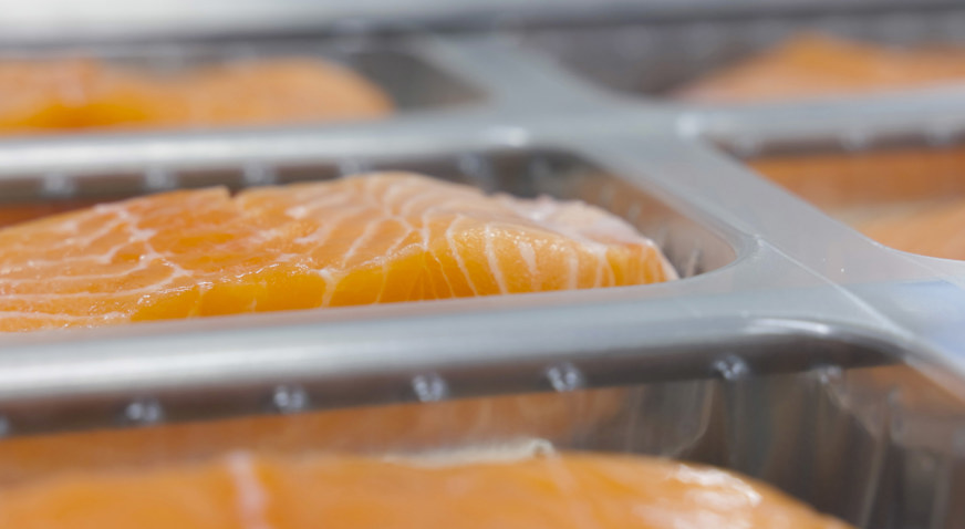 Salmon Portions 05