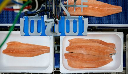 The top 5 trends shaping the salmon processing industry