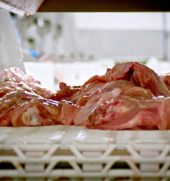 Marel Streamline Equipment